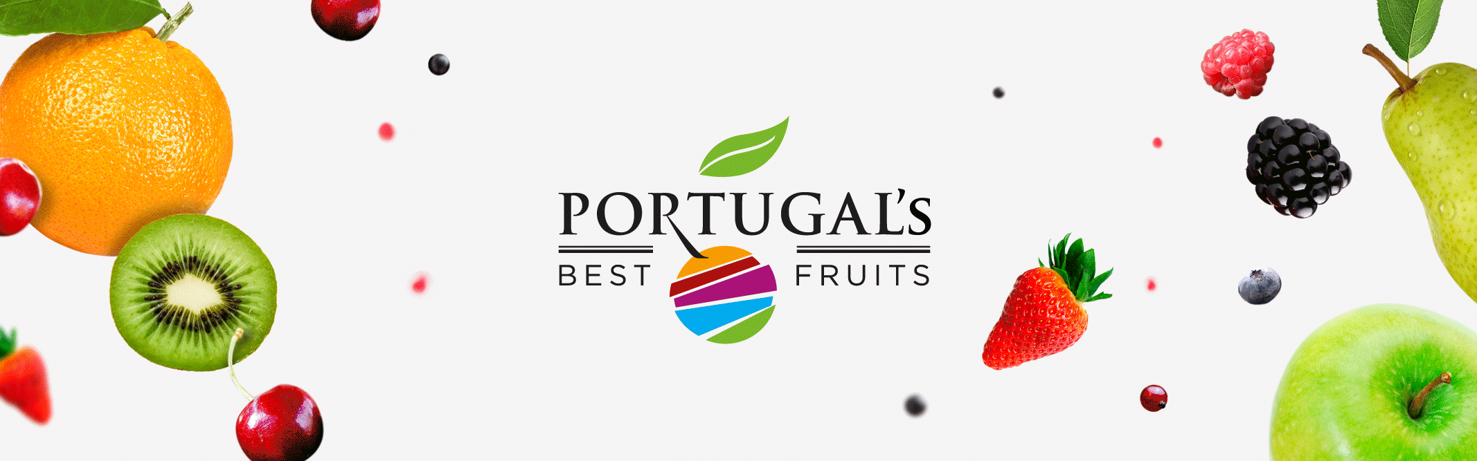 Portugal's Best Fruits